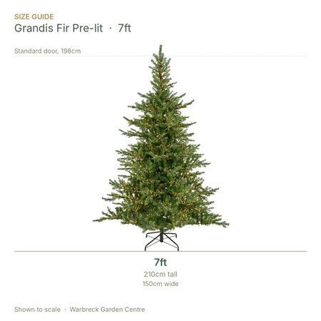 Everlands Grandis Fir 7ft / 210cm Pre-Lit Artificial Christmas Tree - image 2