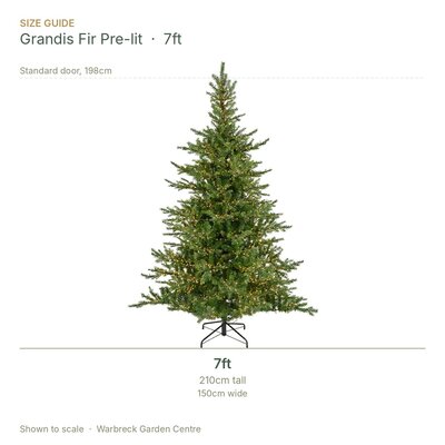 Everlands Grandis Fir 7ft / 210cm Pre-Lit Artificial Christmas Tree - image 2