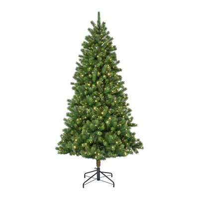 Everlands Kenmore Fir 7ft / 210cm Pre-Lit Artificial Christmas Tree