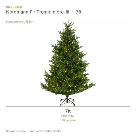 Everlands Nordmann Fir 7ft / 210cm Premium Pre-Lit Artificial Christmas Tree - image 2