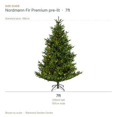 Everlands Nordmann Fir 7ft / 210cm Premium Pre-Lit Artificial Christmas Tree - image 2